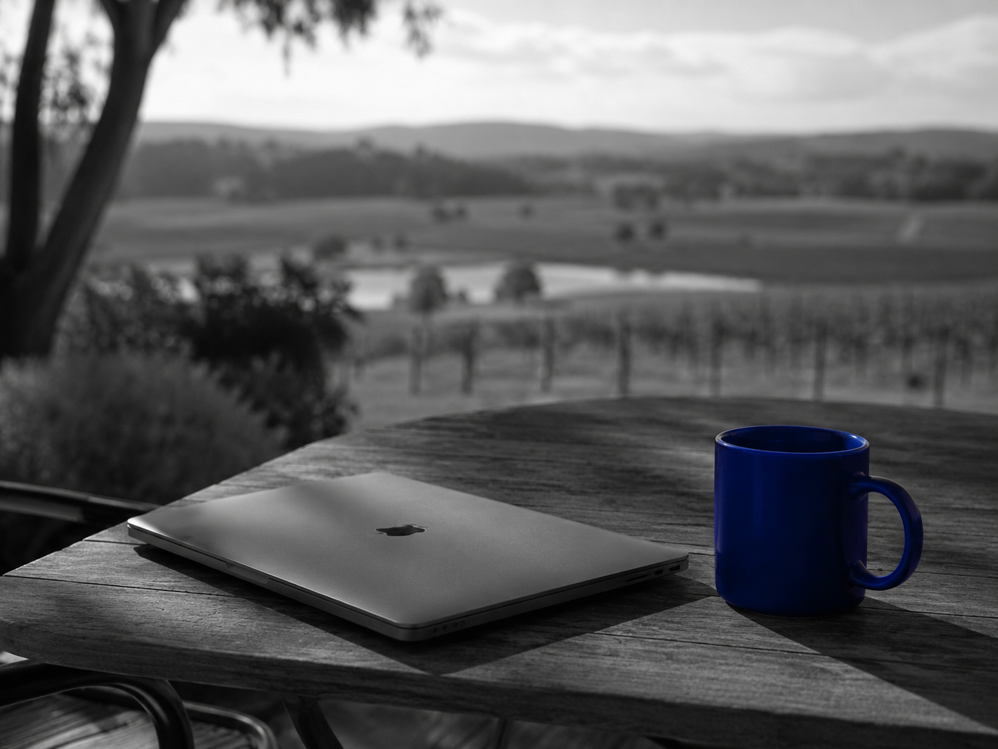 Hunter Valley off-site setting, single laptop closed on outdoor table, cobalt mug visible as only colour pop, soft natural side light